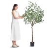Artificial Eucalyptus Tree, 6 FT Tall Faux Plant, Secure PE Material & Anti-Tip Tilt Protection Low-Maintenance Plant