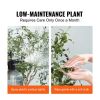 Artificial Olive Tree, 6 FT Tall Faux Plant, Secure PE Material & Anti-Tip Tilt Protection Low-Maintenance Plant