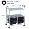 4 Drawer Rolling Storage Cart shelf Scrapbook Paper Office School Organizer;  Black / White