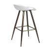 Bak Bar & Counter Stool (Set of 2)